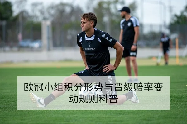 世界杯小组历史交锋与积分变化速查