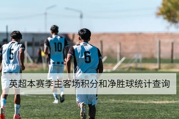 英超本赛季主客场积分和净胜球统计查询
