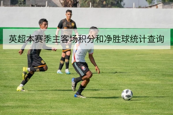 英超本赛季主客场积分和净胜球统计查询